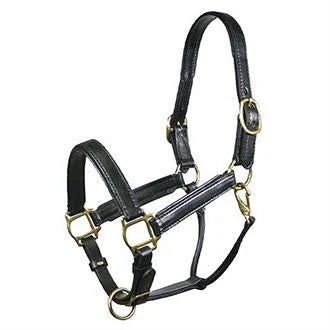 Padded Leather Halter V30340
