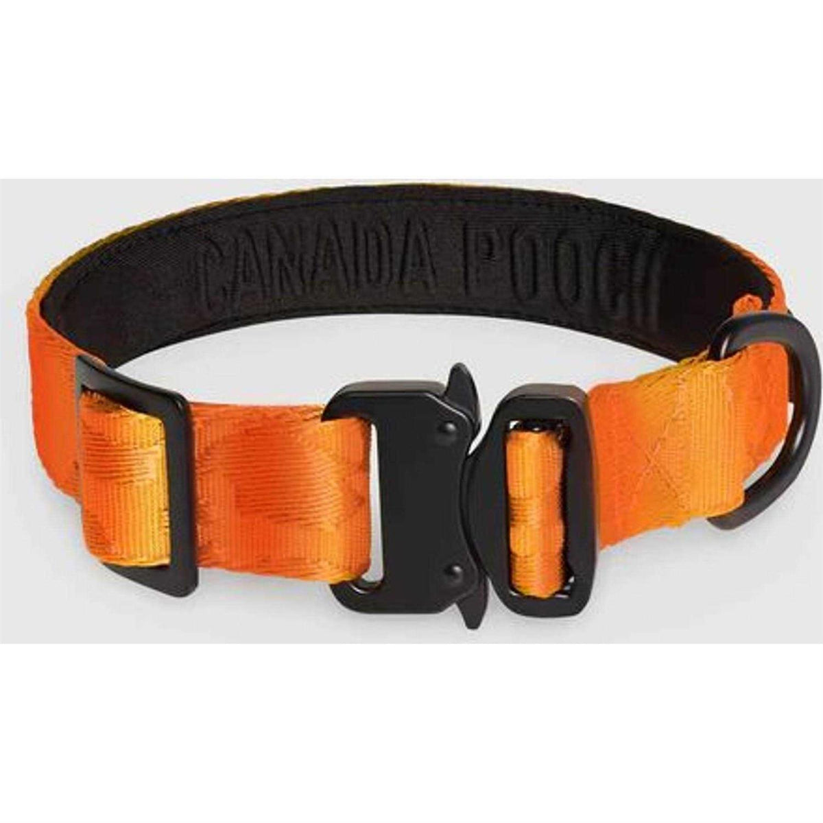 Utility Dog Collar C470221