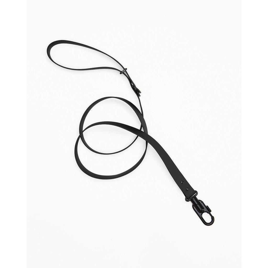 Dog Leash Y765224