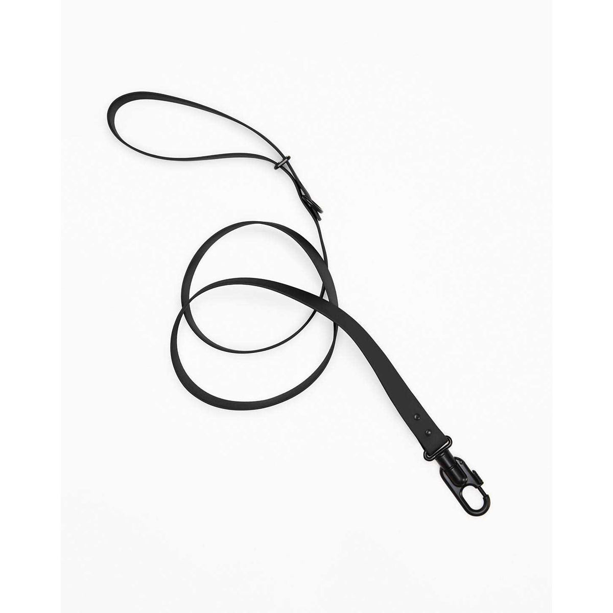 Dog Leash Y765224