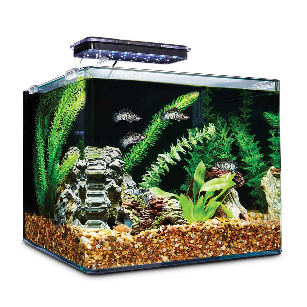 Frameless Freshwater Aquarium Kit D2822