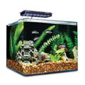 Frameless Freshwater Aquarium Kit D2822