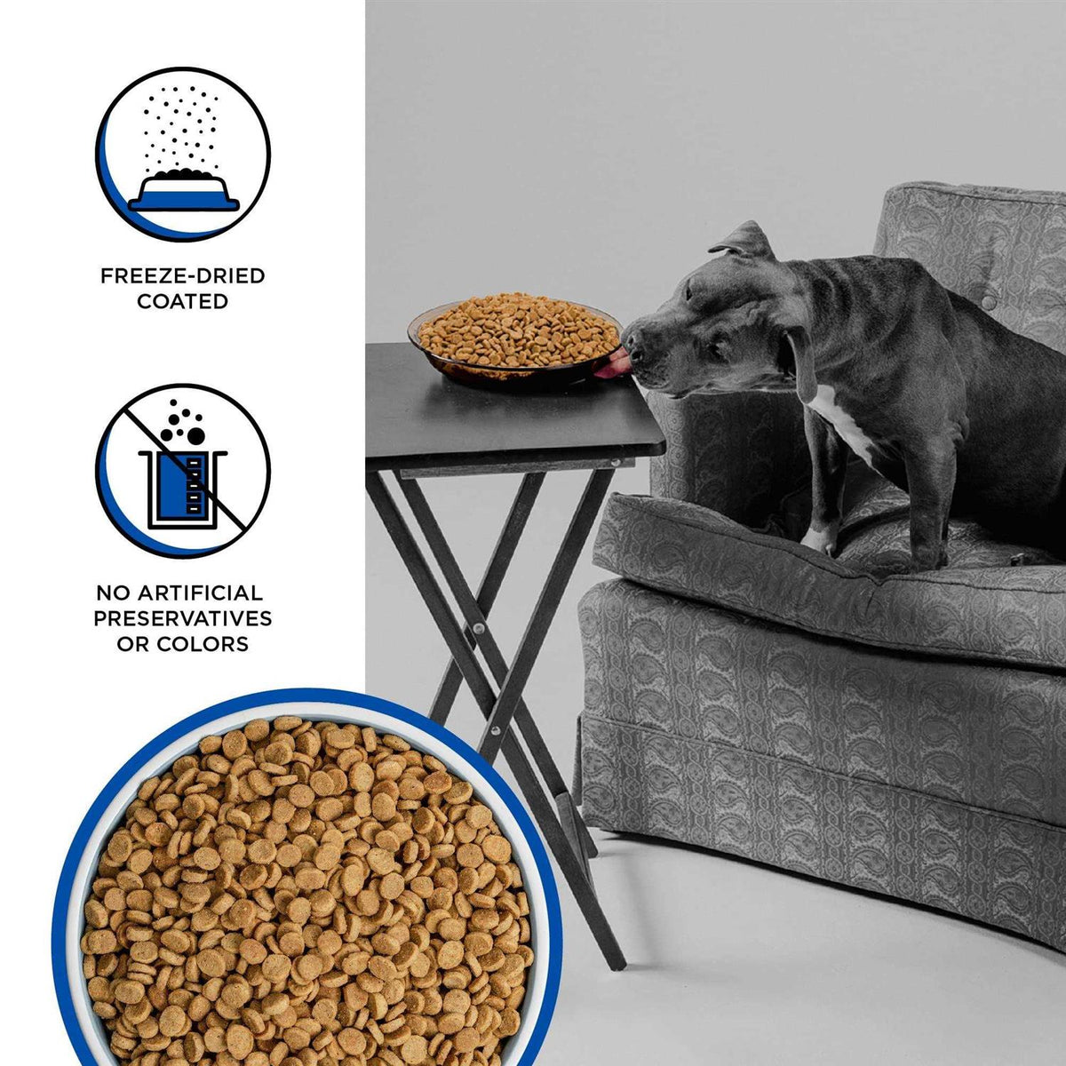 Dry Dog Food C212