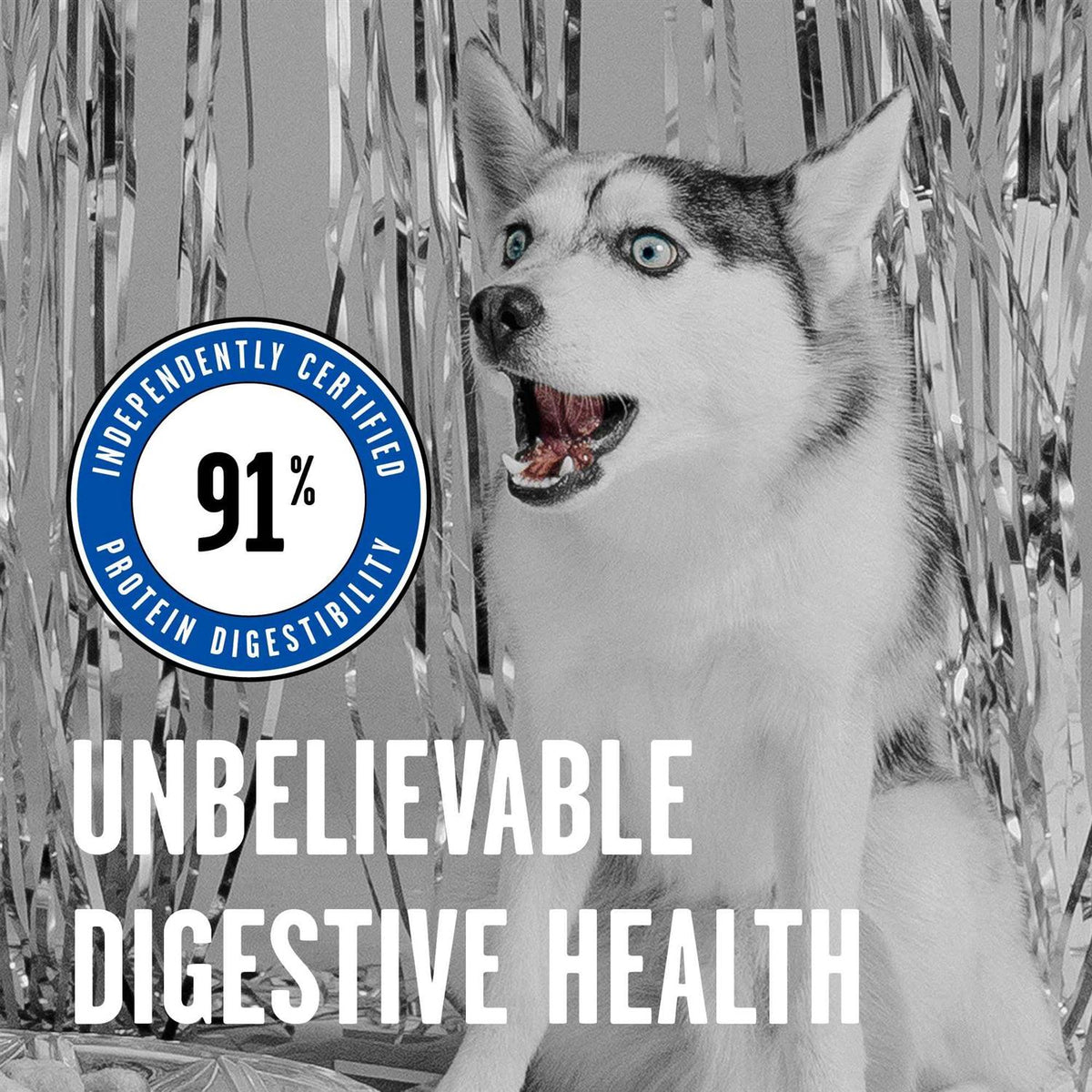 Dry Dog Food C212