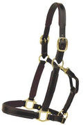 Padded Leather Halter V30340