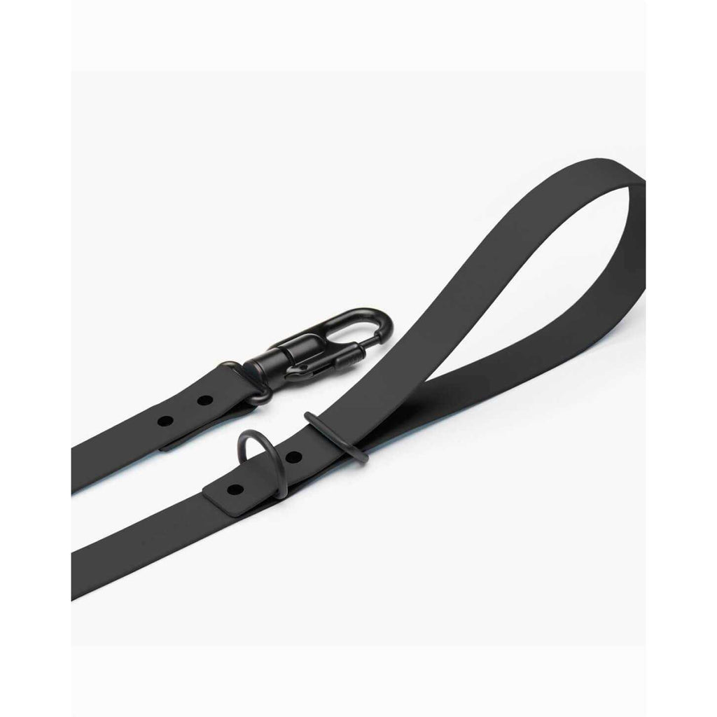 Dog Leash Y765224