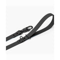 Dog Leash Y765224
