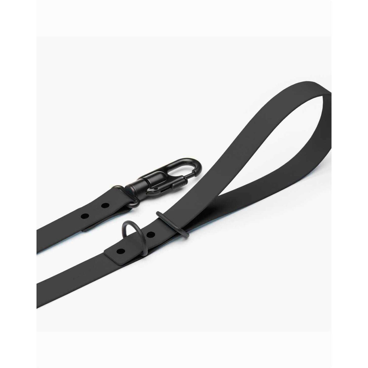 Dog Leash Y765224