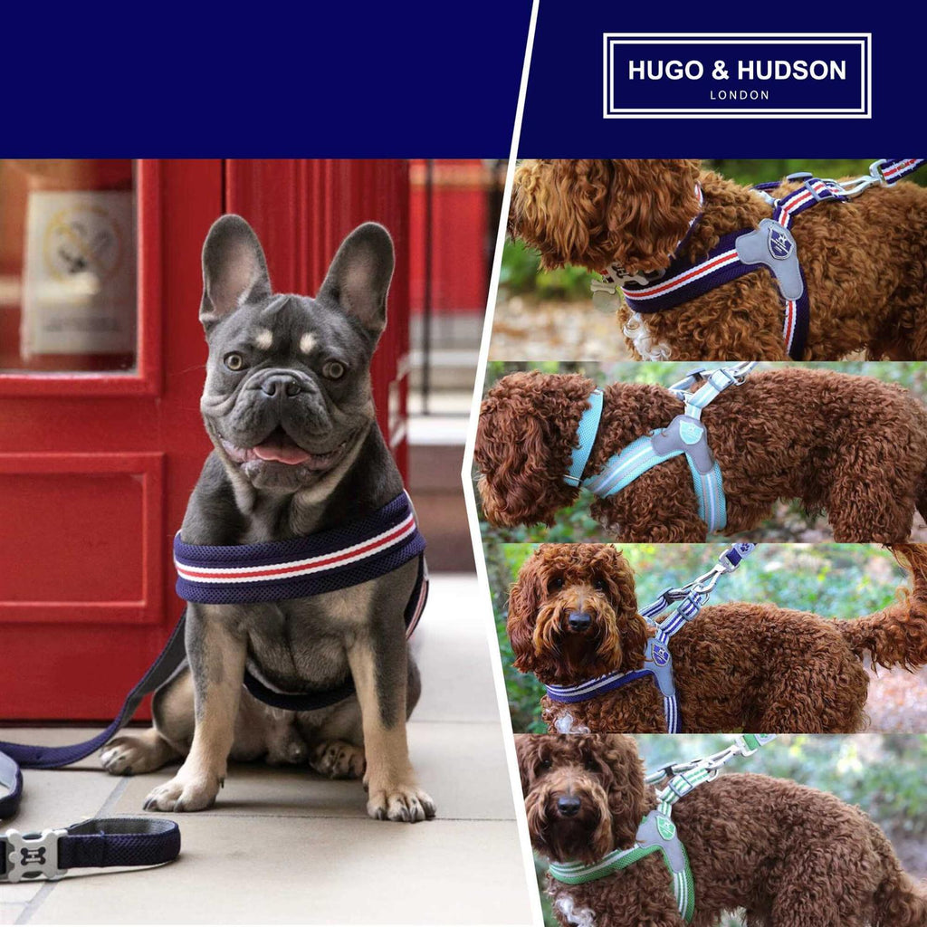 Dog Harness F873