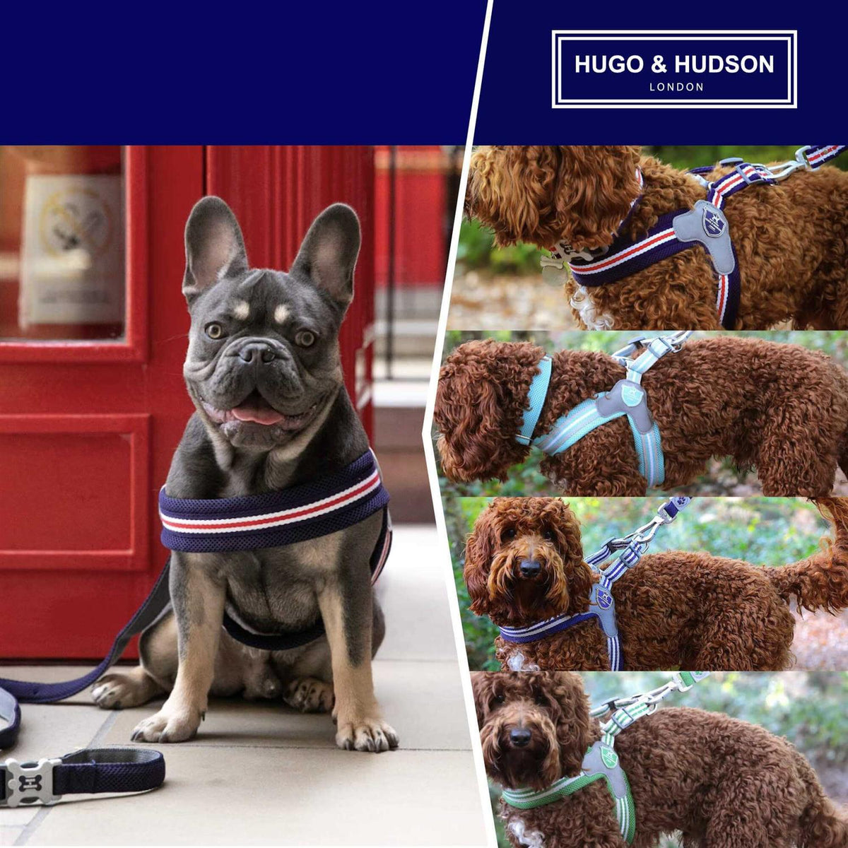 Dog Harness F873