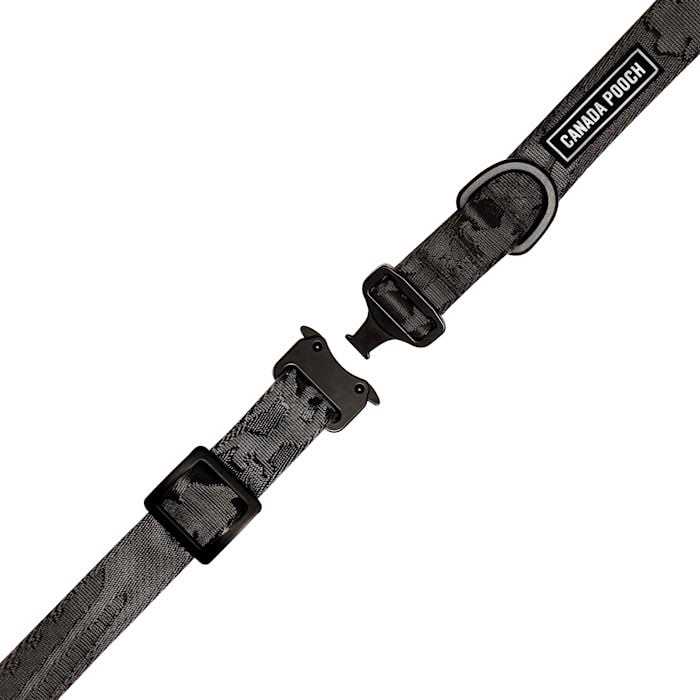 Utility Dog Collar C470221