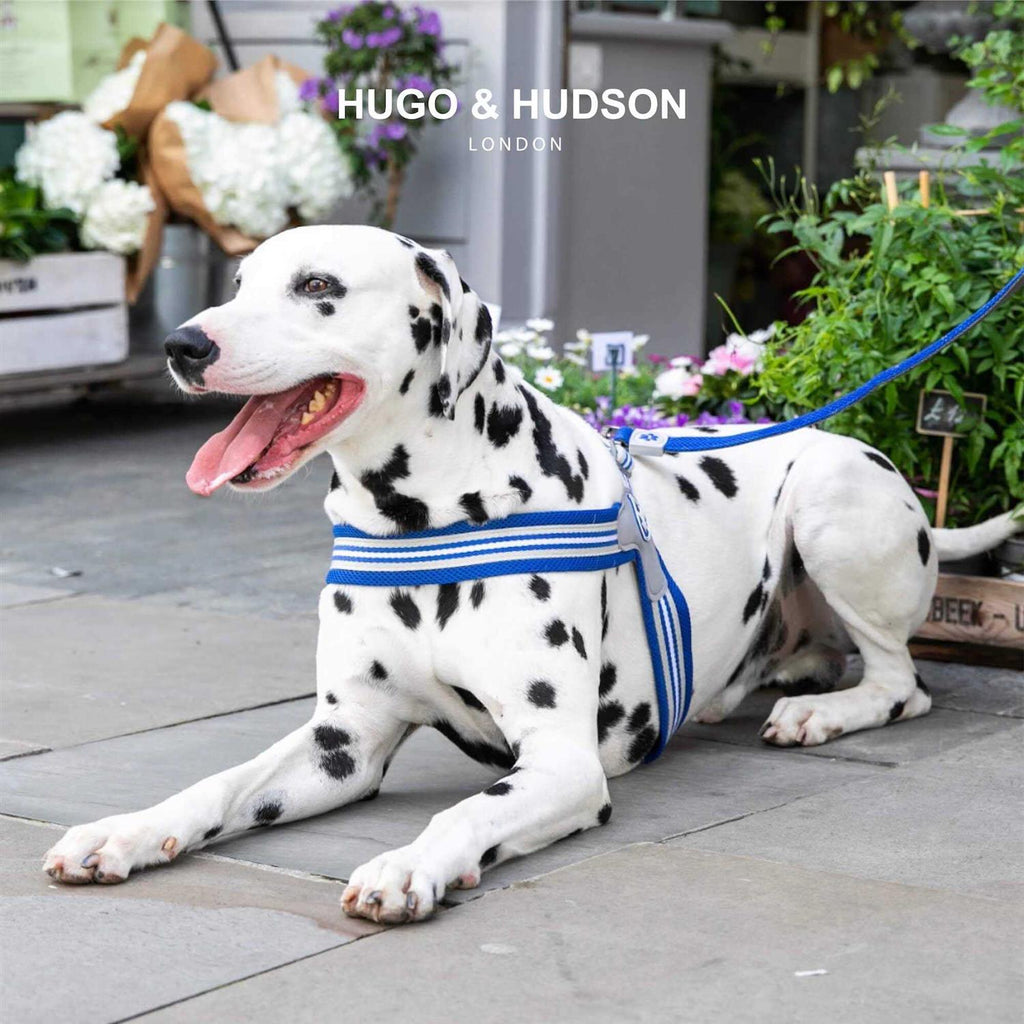Dog Harness F873