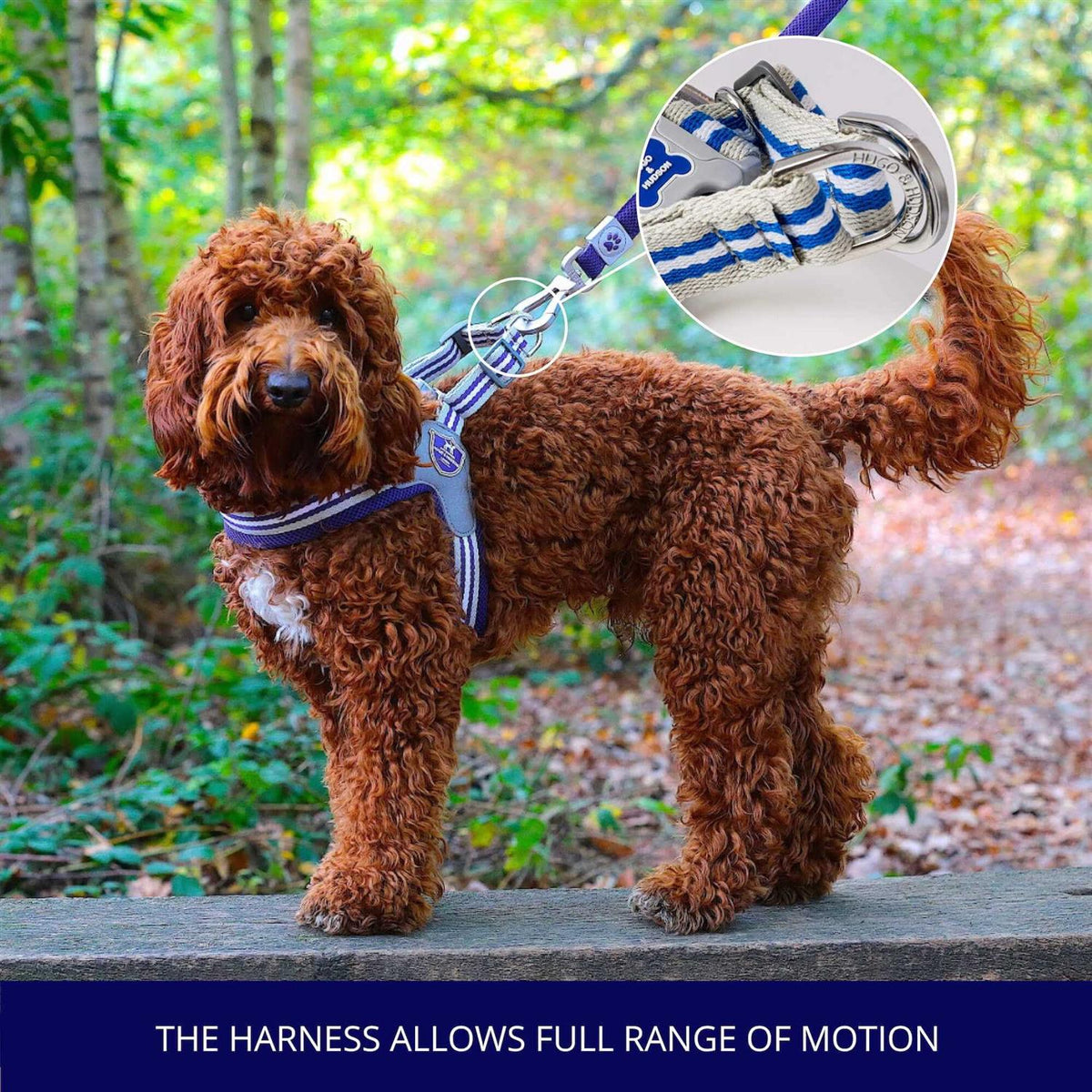 Dog Harness F873