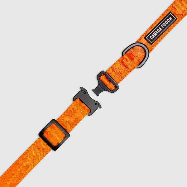 Utility Dog Collar C470221
