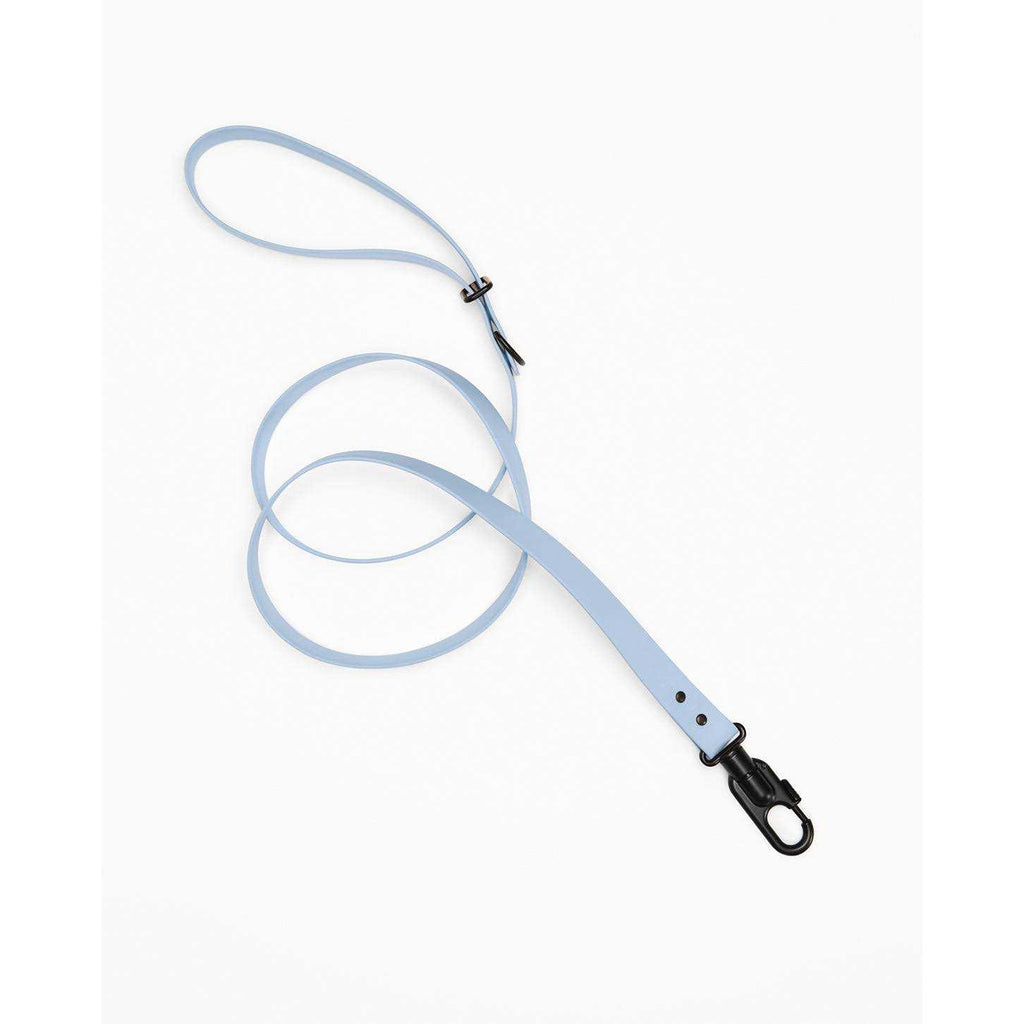Dog Leash Y765224