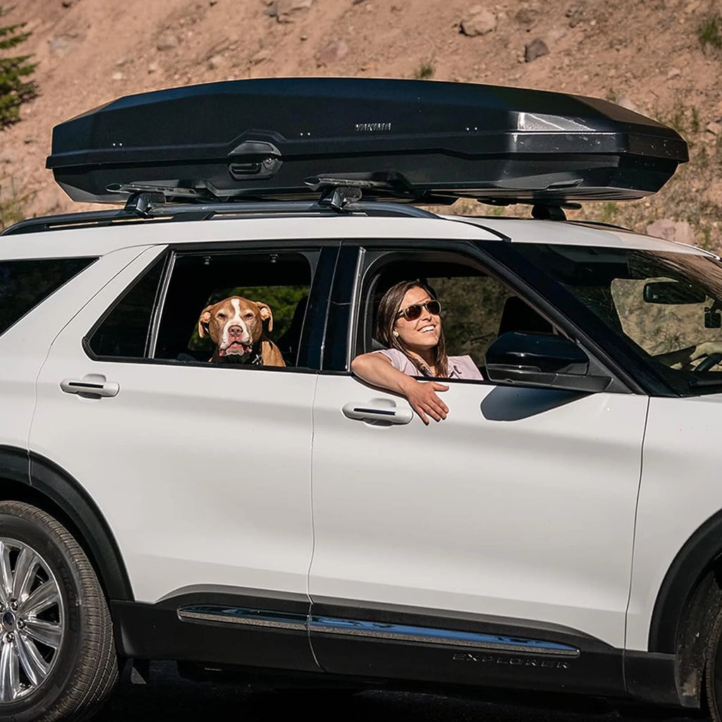 Black Rooftop Cargo Carrier Box C658