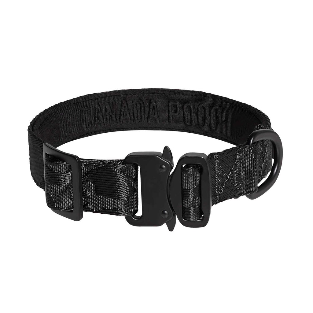 Utility Dog Collar C470221
