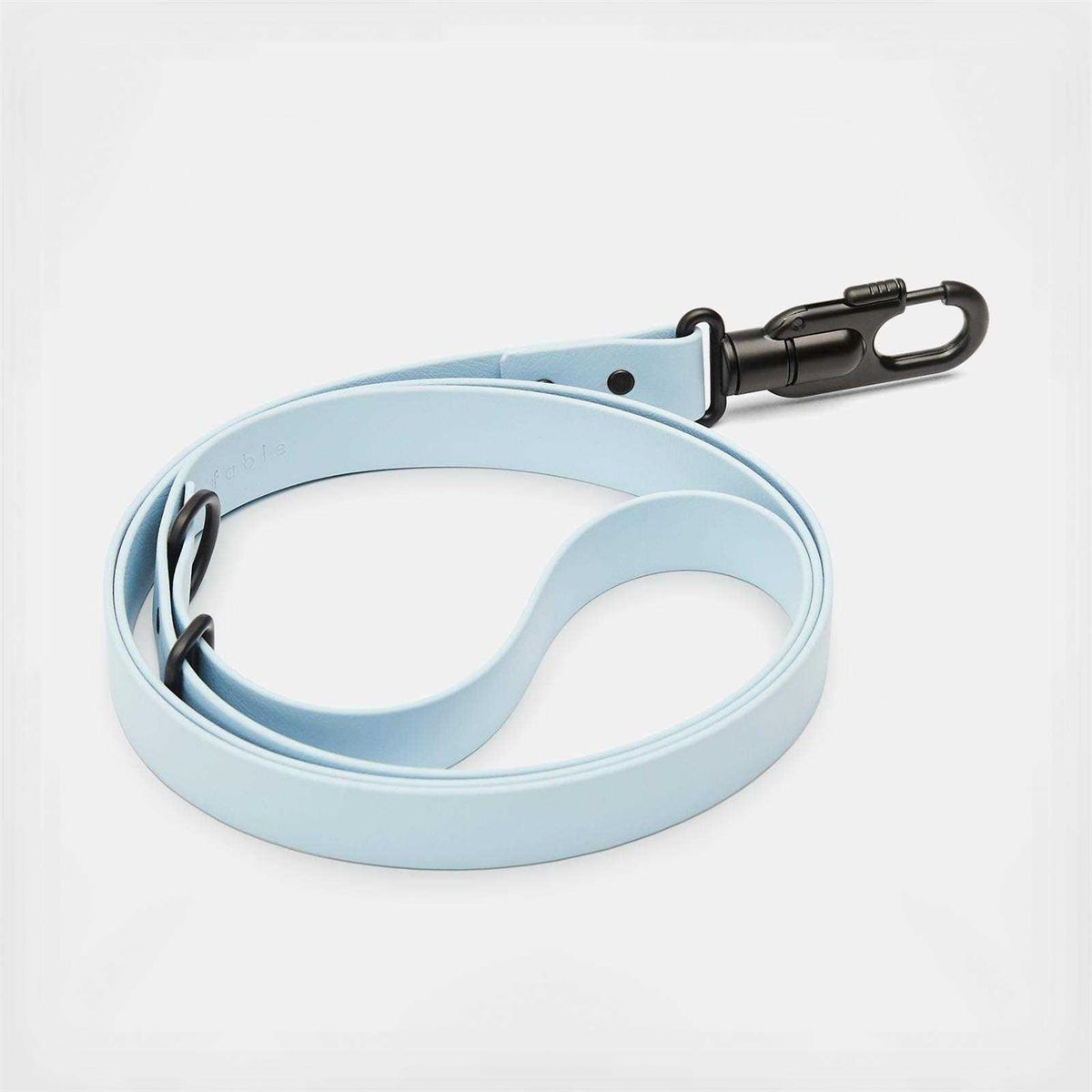 Dog Leash Y765224